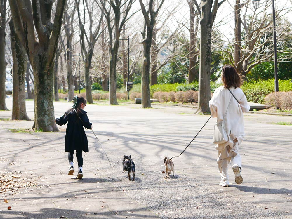 Horn Please MADEのヴィーガンレザー製小型犬用リード。幅1.2cm、長さ200cmのシンプルでスタイリッシュなデザイン。