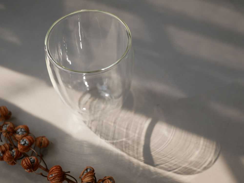 ボダム ダブルウォールグラスとマグのセット