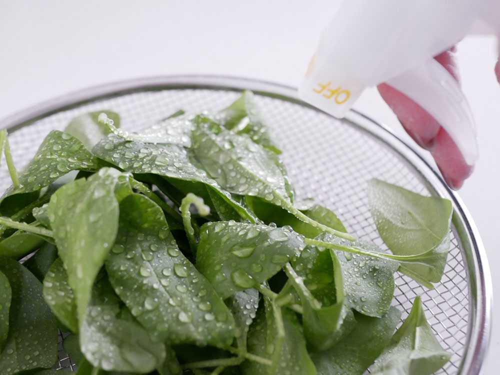 ベジセーフ 野菜あらいの水400ml×2本+forROOM400ml×1本+野菜あらいの水1200ml×1本の仕様シーン10