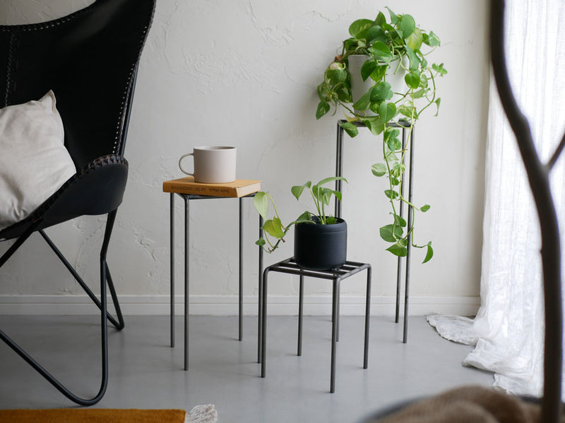 WEST VILLAGE TOKYOのアイアン製KNOPプラントスタンドに観葉植物と花瓶が飾られた室内の静物写真