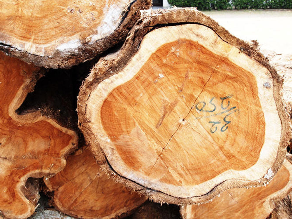 チーク無垢材とペーパーコードを使用したサンフラワーラタンのHOKOSダイニングチェア