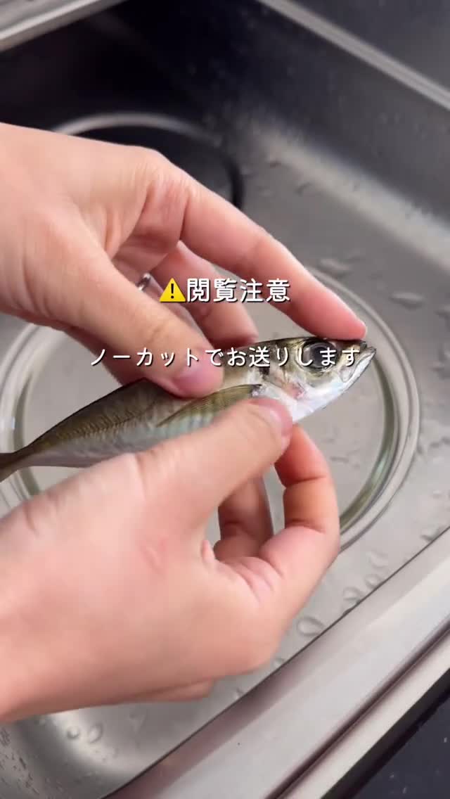 一瞬でできる！アジ下処理🐟