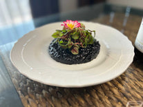 イカスミとしょうがのリゾット