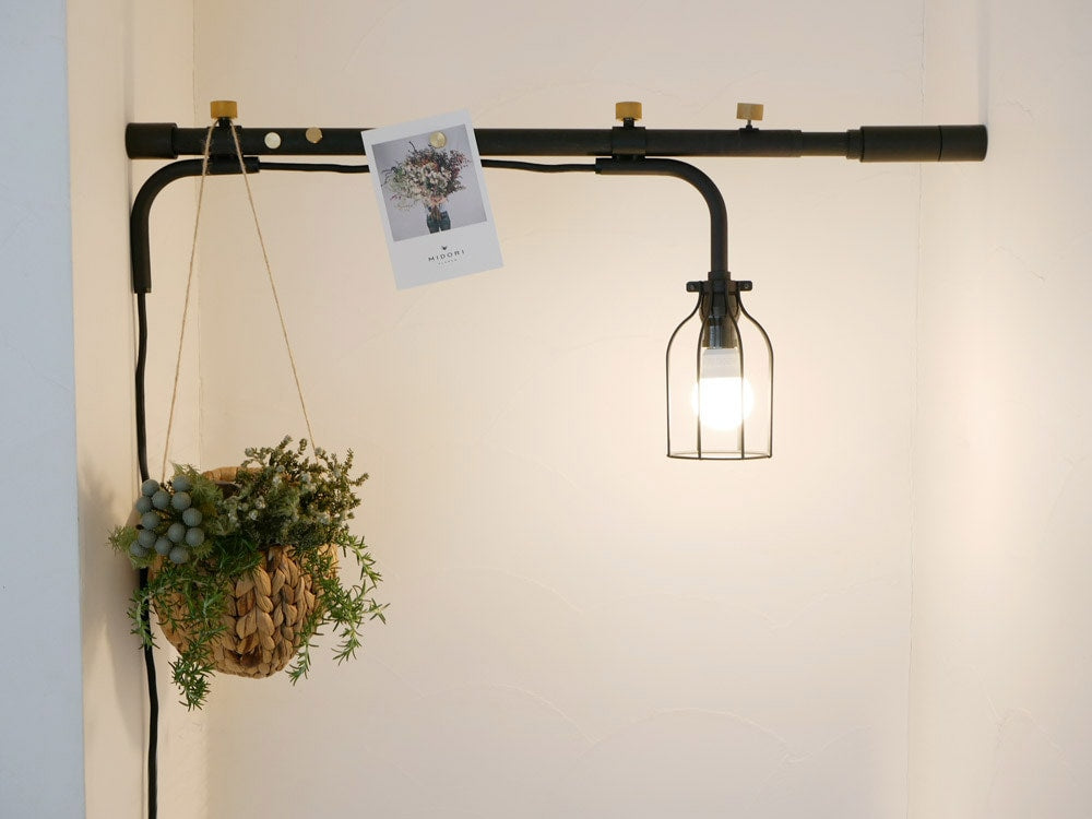 天井に設置されたシコース照明と観葉植物