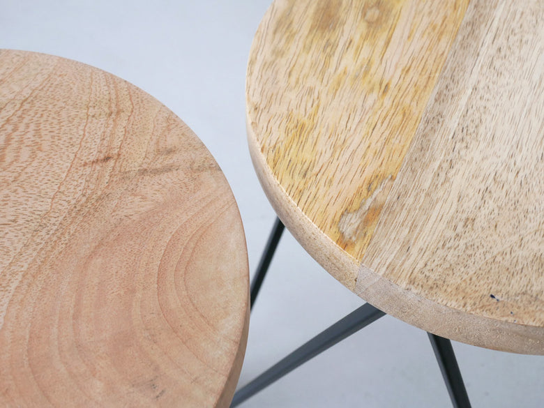 POSH LIVINGのアイアンとマンゴーウッド製サークルスタンド