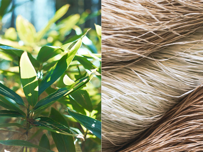 SASAWASHIのささ和紙スリッパの写真