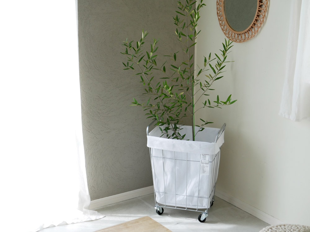BRIDのランドリーストレージ スクエア45Lがハードウッドの椅子や観葉植物とともに室内に配置された画像