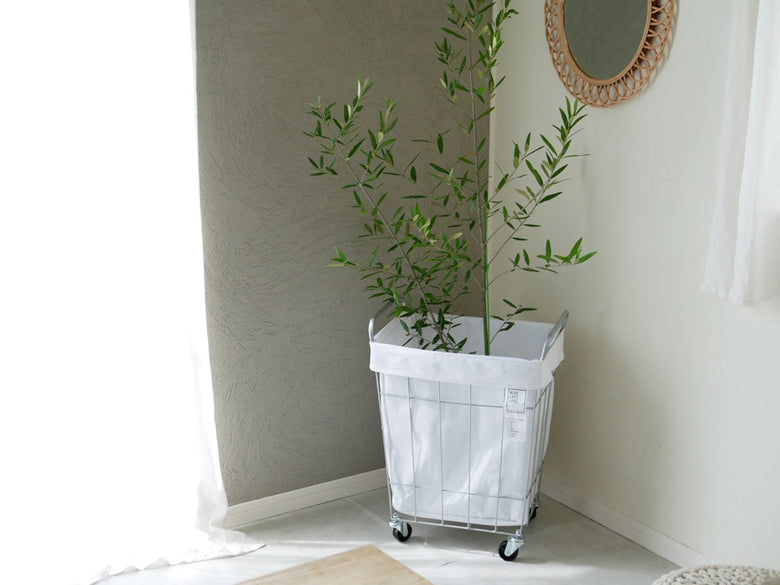 BRIDのランドリーストレージ スクエア45Lがハードウッドの椅子や観葉植物とともに室内に配置された画像