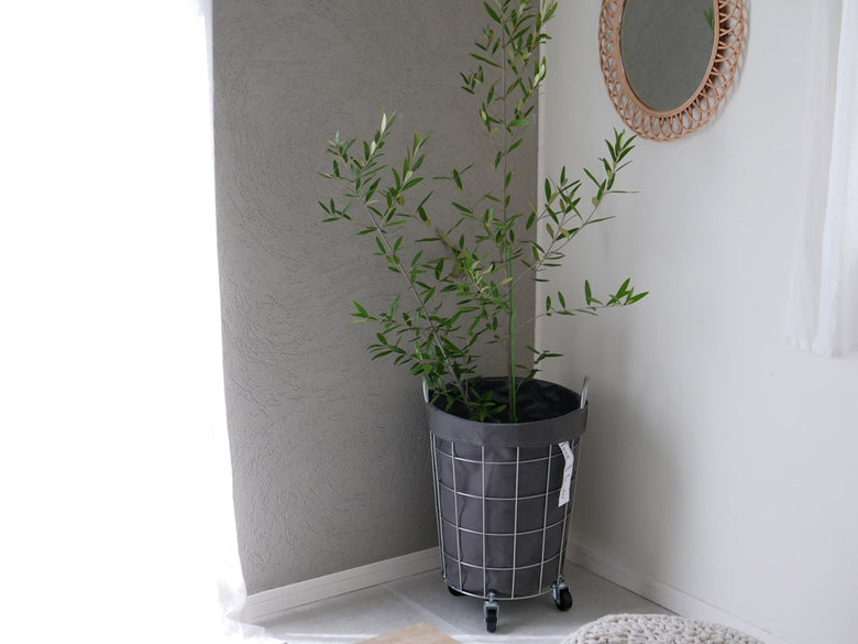 BRIDのランドリーストレージ ラウンド33Lがハードウッドの上に置かれ、花鉢と観葉植物が周囲に配置された様子