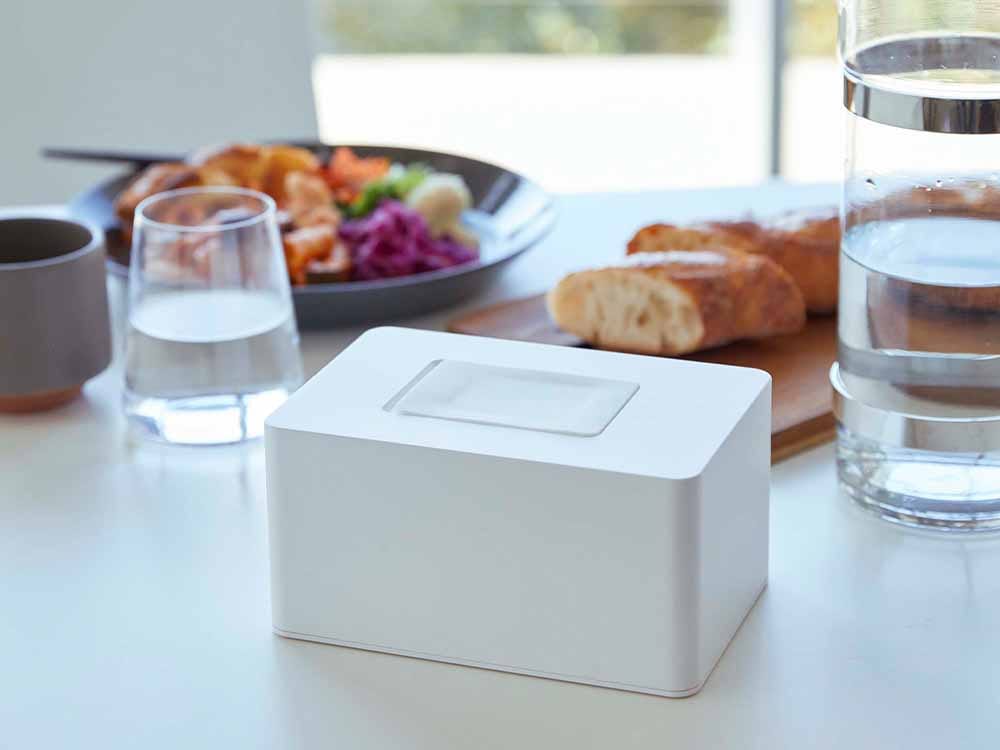 ヤマザキタワーのウェットシートホルダーと観葉植物