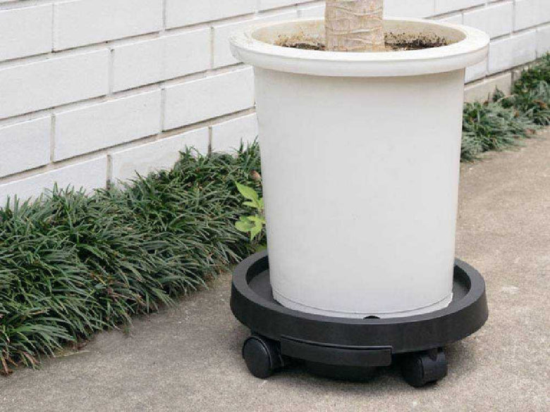 amabroアマブロのキャスター付き動かせるプランツトレイ