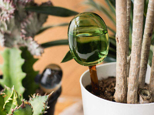 アマブロの耐熱ガラス製自動給水器