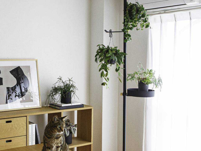 DRAW A LINE ペットと植物セット ホワイトとブラックの全パーツ