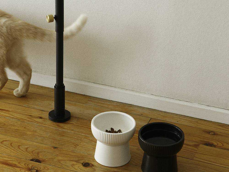 ドローアラインのホワイトとブラックペット植物セット