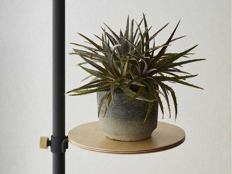 ホワイトとブラックのモリモリツリーセットに花鉢が飾られている