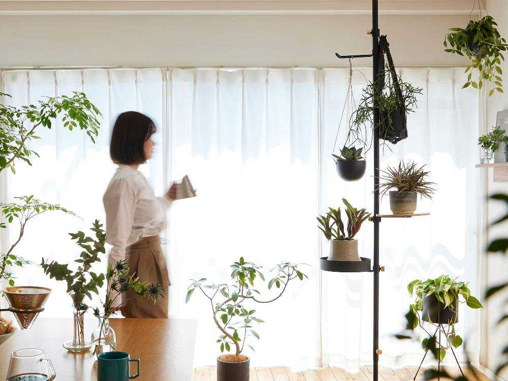 ドローアラインモリモリツリーセットで飾られた室内植物と照明器具