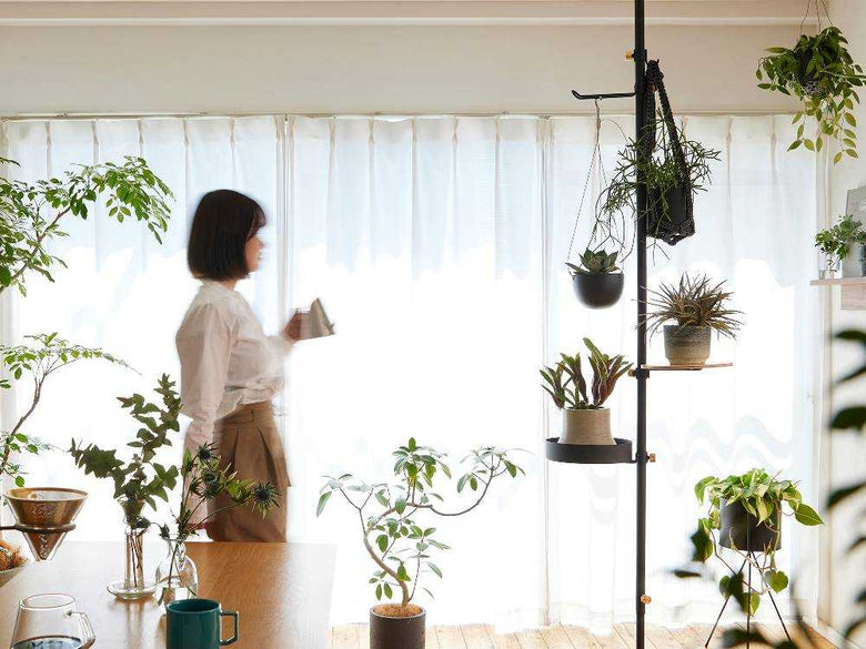 ドローアラインモリモリツリーセットで飾られた室内植物と照明器具