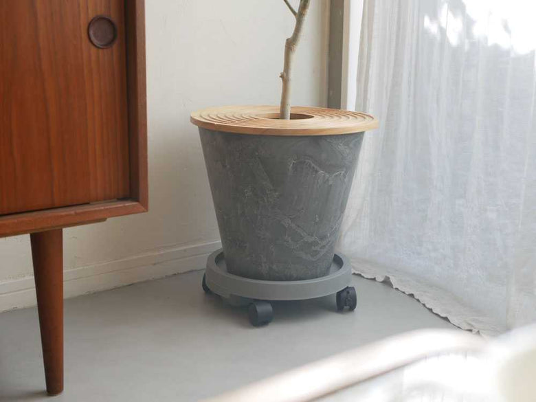 木製床に置かれた陶器のプラントポットと植物