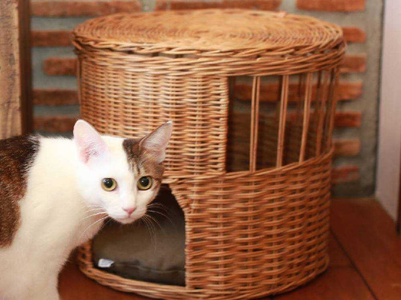 ふた付きのラタン製ねこハウス