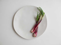 ディナープレート27cm