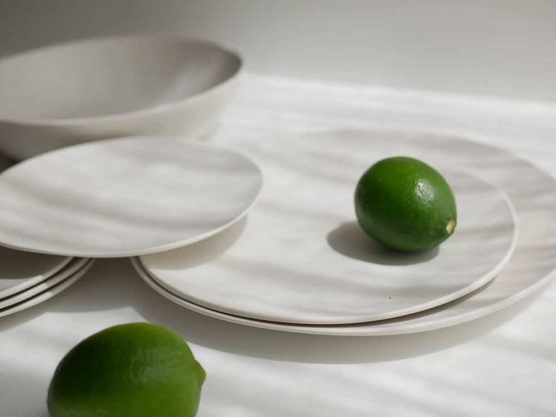 美強皿の次世代メラミンプレートセット