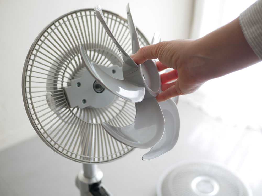 Kamomefan/カモメファン】Kamomefan+c lite/lite2用別売り Kamome
