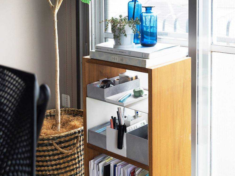 本棚に並ぶタイディアップボックスと観葉植物