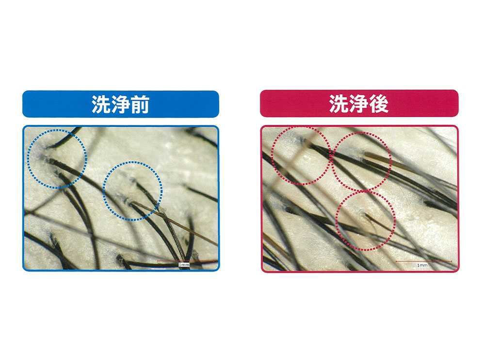 Vivaナノバブルシャワーホース本体とアダプター