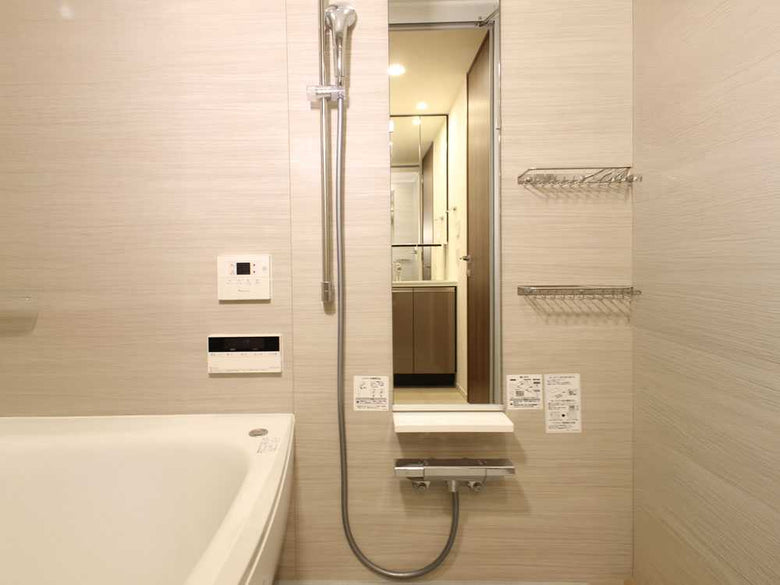Vivaナノバブルシャワーホースを備えた浴室