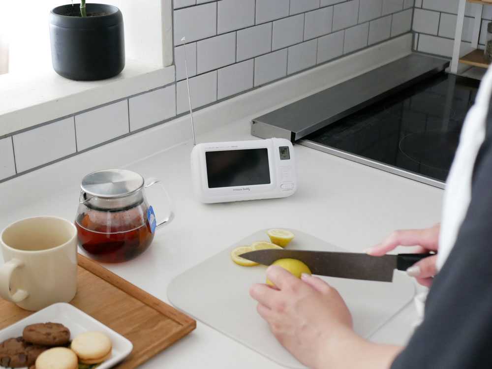 innowa(イノワ) buddy ポータブルテレビ・ラジオ本体