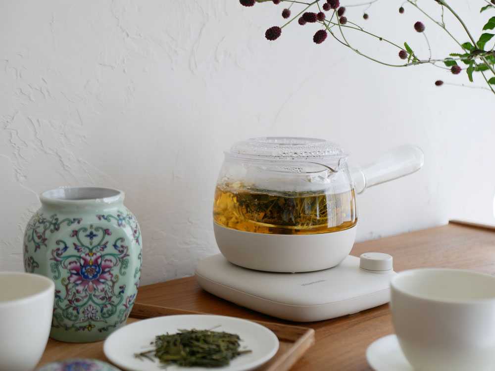 ビタントニオのほったらかしガラスケトルKYUSU本体