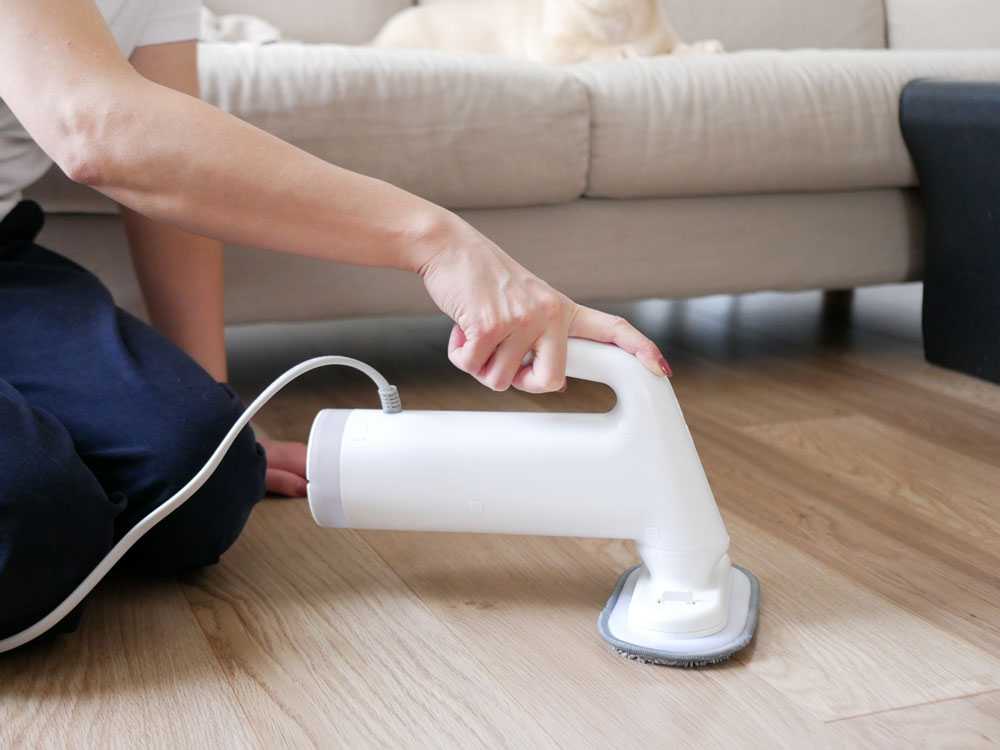 《ノベルティ付》【±０/プラスマイナスゼロ】スチームクリーナー（食器・テーブル・シンク周り用のふきん5枚入）