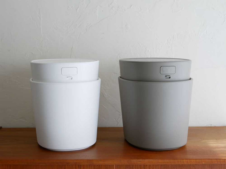 セラミック製シリンダー花鉢に入った観葉植物