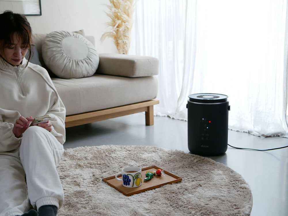 デュクス デーン 大容量スチーム加湿器