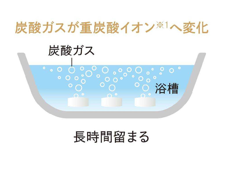 【ReFa/リファ】ReFa SPA TABLET 60TABLETS