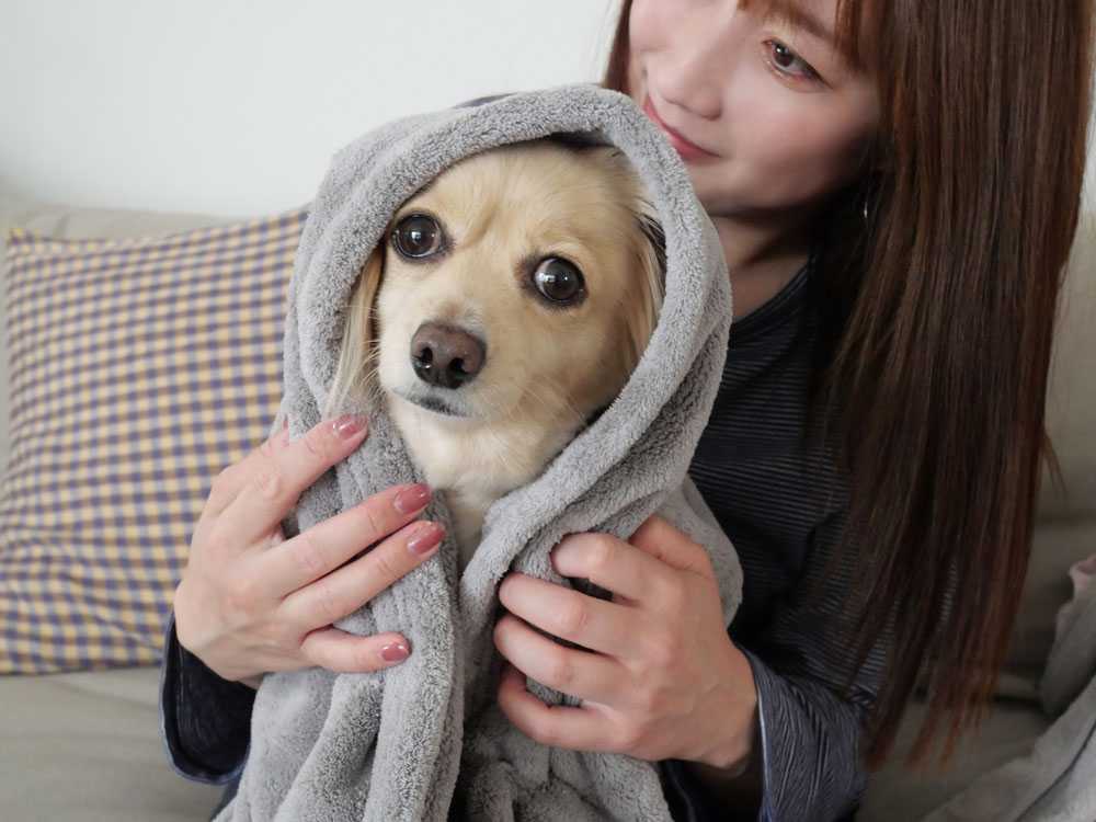 【CB JAPAN/シービージャパン】カラリ史上最高密度。カラリヘアー