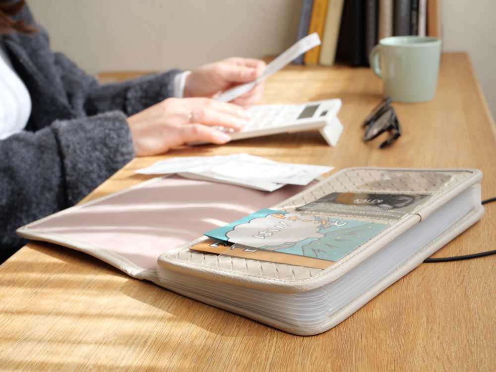 がばっと開いて見やすい 書類収納ケース｜【公式】ひなたライフ