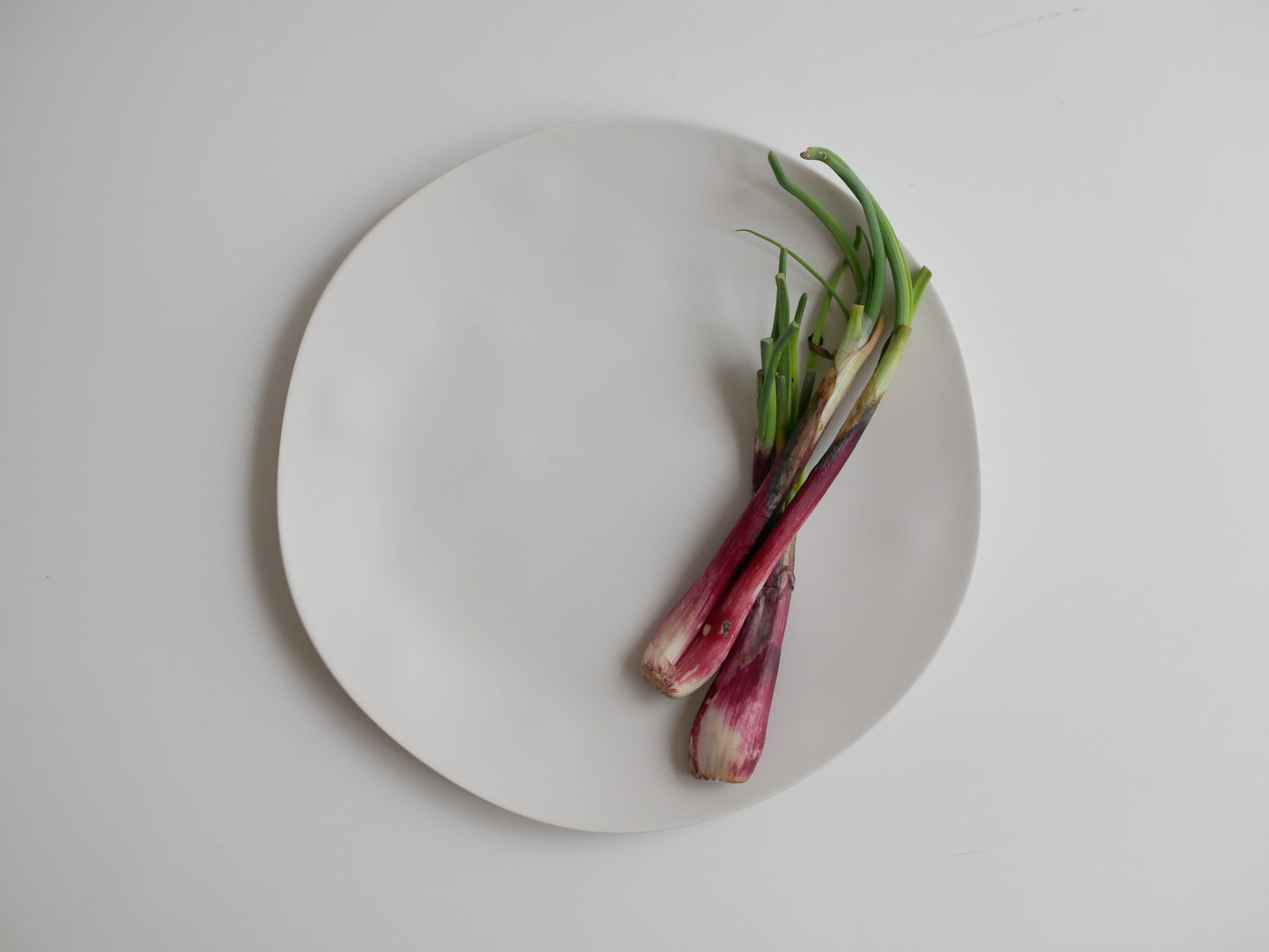 【ABODE Homeware/アボードホームウェア】美しくてタフな次世代メラミンプレート