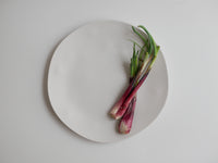 ディナープレート 27cm