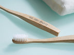 パラデック製プレンツハブラシ、竹柄とやわらかめの毛