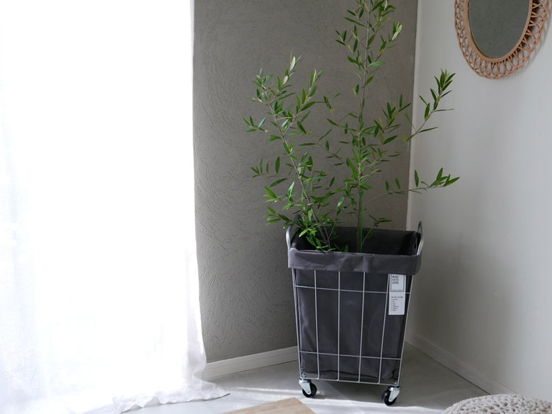 デザインされた花瓶に入ったハーブ植物と室内用の植木鉢