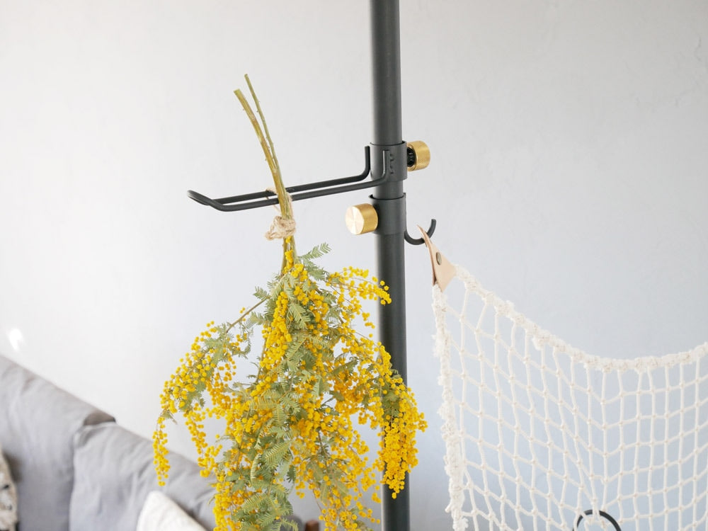 ドローアライン015フックBで吊るされた観葉植物