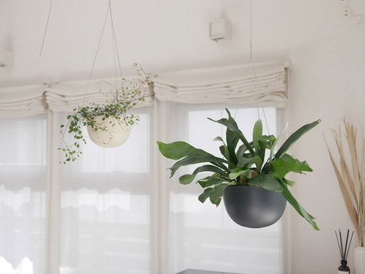 キントーのプラントポットとハンガー