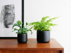 藤田金属のハチ型プラントポット