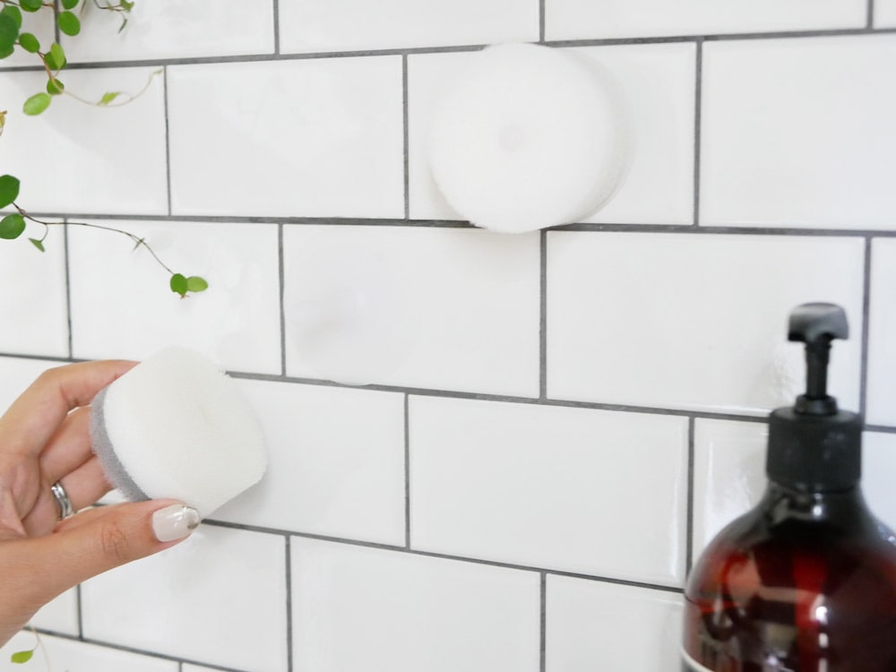 マーナ POCO吸盤付き洗面スポンジがタイルに取り付けられている