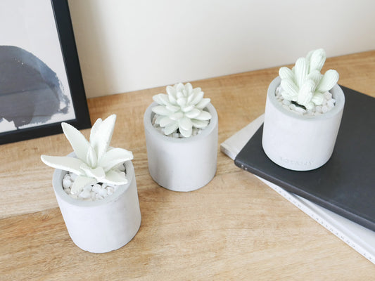 DULTONブランドのフレグランスディフューザー製品画像