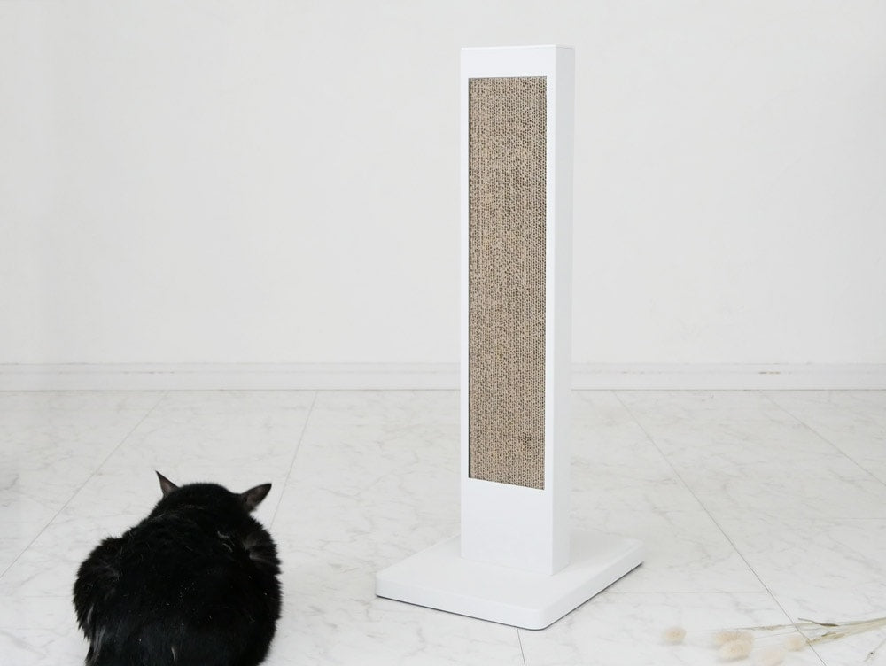 スチール製猫の爪とぎタワーに座る短毛猫