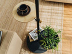 Move Rodと共に配置された家具や植物の室内写真