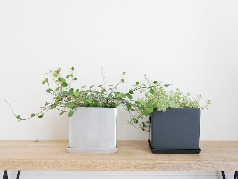 POSH LIVINGのアルミ製スクエアポットとプレート