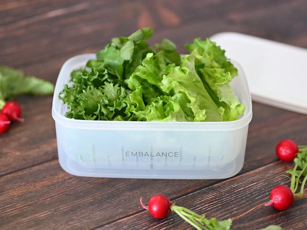 EMBALANCE/エンバランス】食材を美味しく保つ保存容器 レクタングル